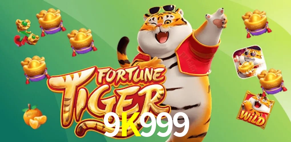 Experiência VIP 9K999